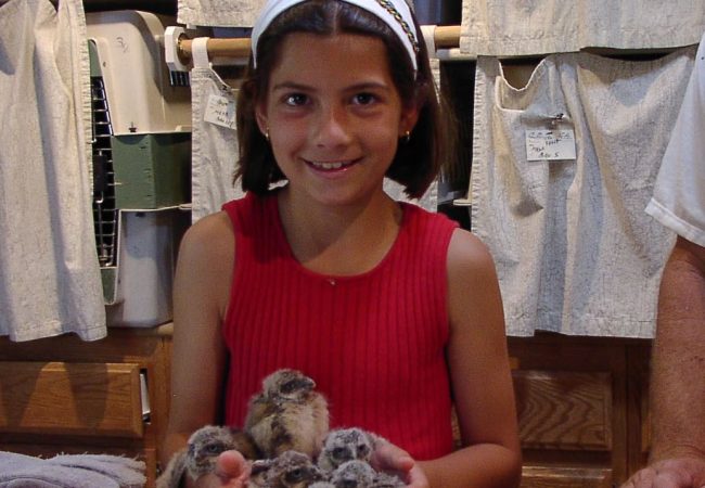 Areanna Sabine Birdzoff Areanna Sabine, CEO of Birdzoff, holds a group of owls as a child.
