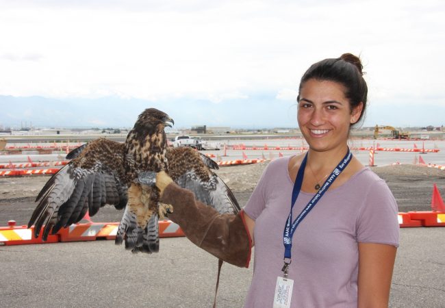 Areanna_Birdzoff Areanna Sabine, CEO of Birdzoff, holds a hawk.